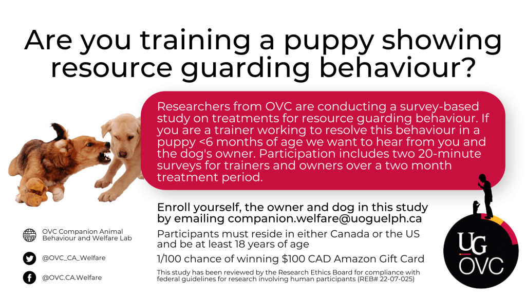 Advertisement for dog trainers for project titled " Are you training a puppy showing resource guarding behaviour". Includes project description and eligibility information as in website text above.

Additional information:
- Participants have a 1/100 chance of winning $100 CAD Amazon Gift Card

- This study has been reviewed by the Research Ethics Board for compliance with federal guidelines for research involving human participants (REB#22-07-025)